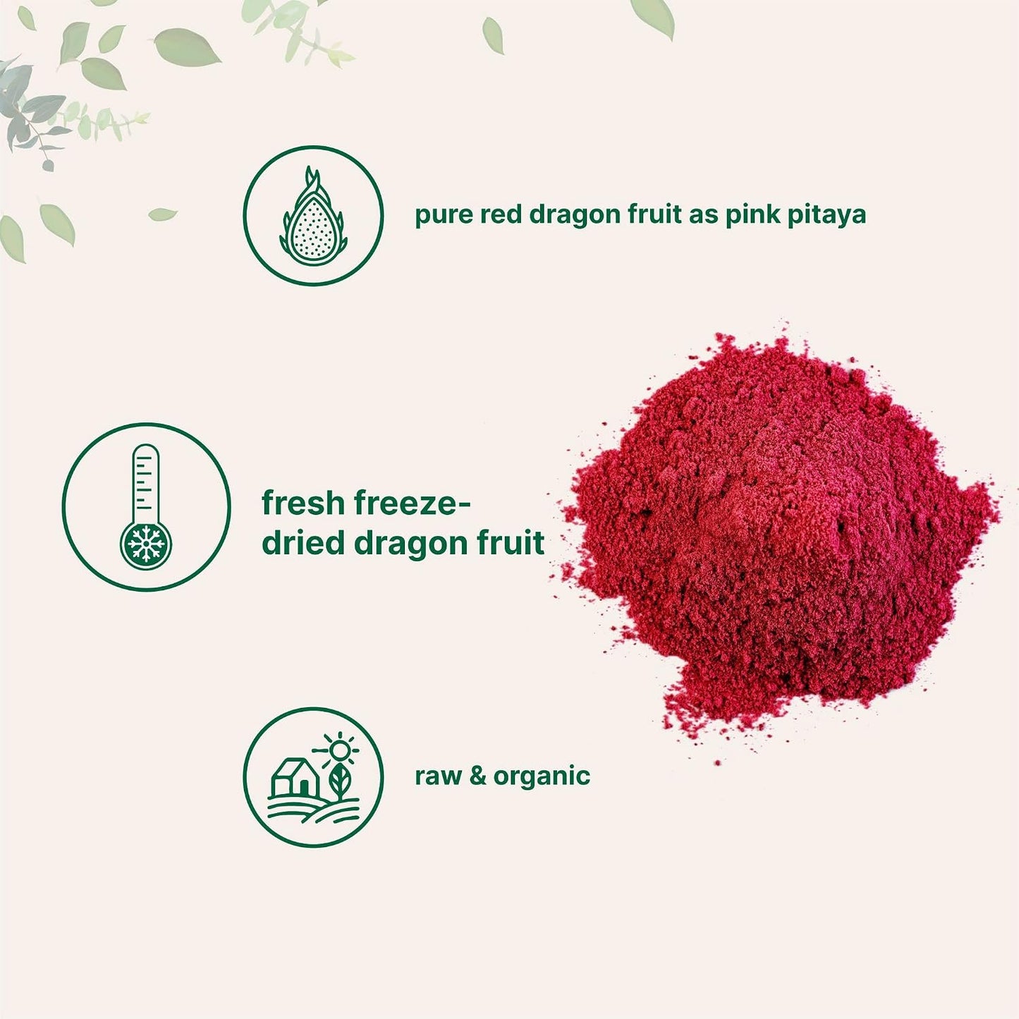 Micro Ingredients Organic Dragon Fruit Powder, 10oz | Natural Fruit Flavor | Freeze-Dried Pink Pitaya Source | No Sugar & Additives | Great for Drinks, Smoothie, & Beverages | Non-GMO & Vegan Friendly - PrimeBioHealth - canada supplements