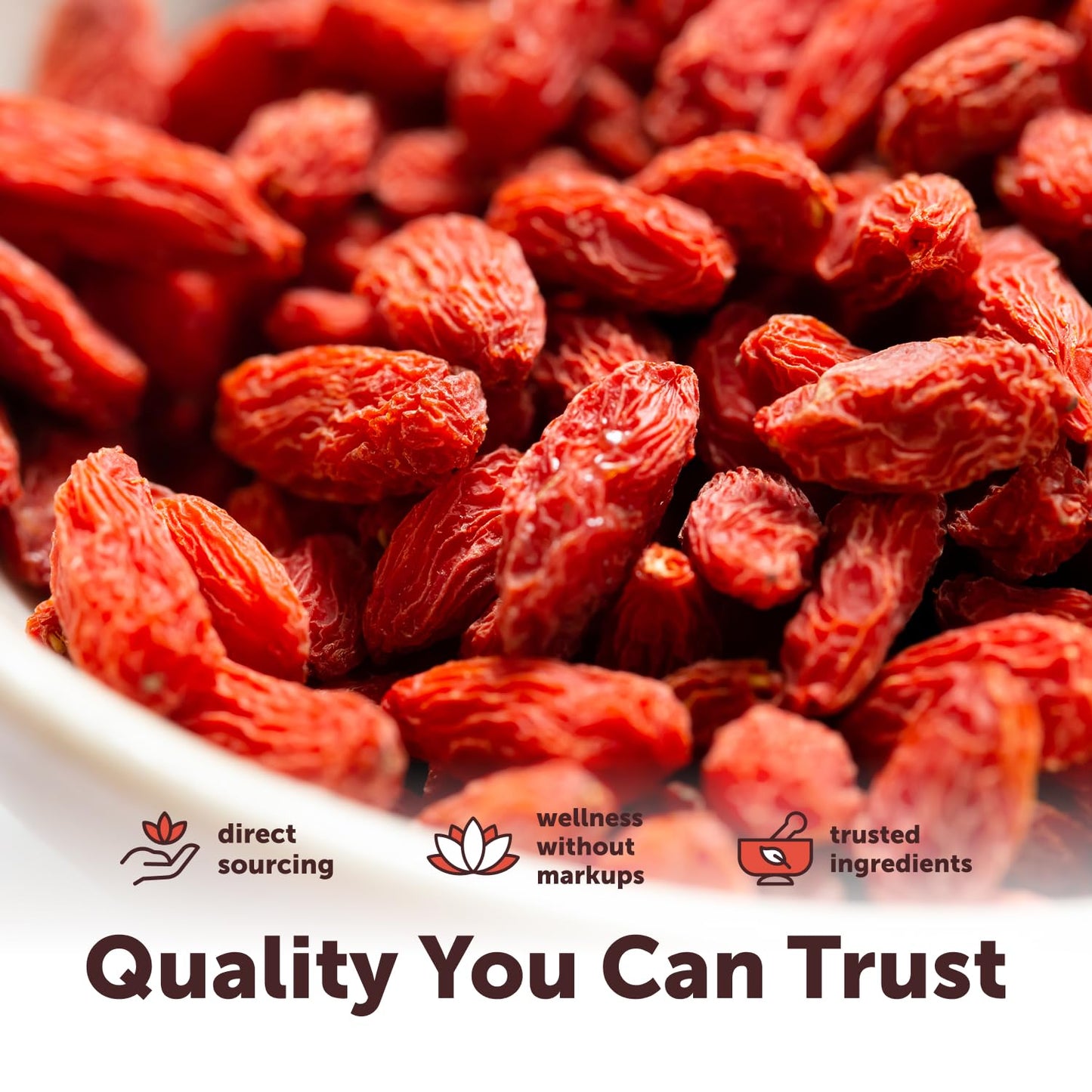 Micro Ingredients Organic Goji Berries 2lbs (32oz) | Large Whole Sun-Dried Berries | Raw Wolfberries | Natural Flavor for Trail Mix, Juice, & Tea | Sulfate Free, Vegan Friendly, Non-GMO - PrimeBioHealth - canada supplements