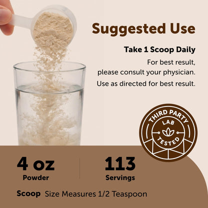 Micro Ingredients Organic Korean Ginseng Root Powder, 4 Ounce | Red Panax Ginseng Root | Traditional Asian Herb | Non-GMO & Vegan Friendly - PrimeBioHealth - canada supplements