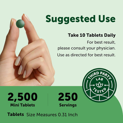 Micro Ingredients Organic Spirulina Chlorella Mini Tablets, 2,500 Tablets (8 Month Supply) | 50/50 Algae Blend | No Fillers, Non-GMO - PrimeBioHealth - canada supplements