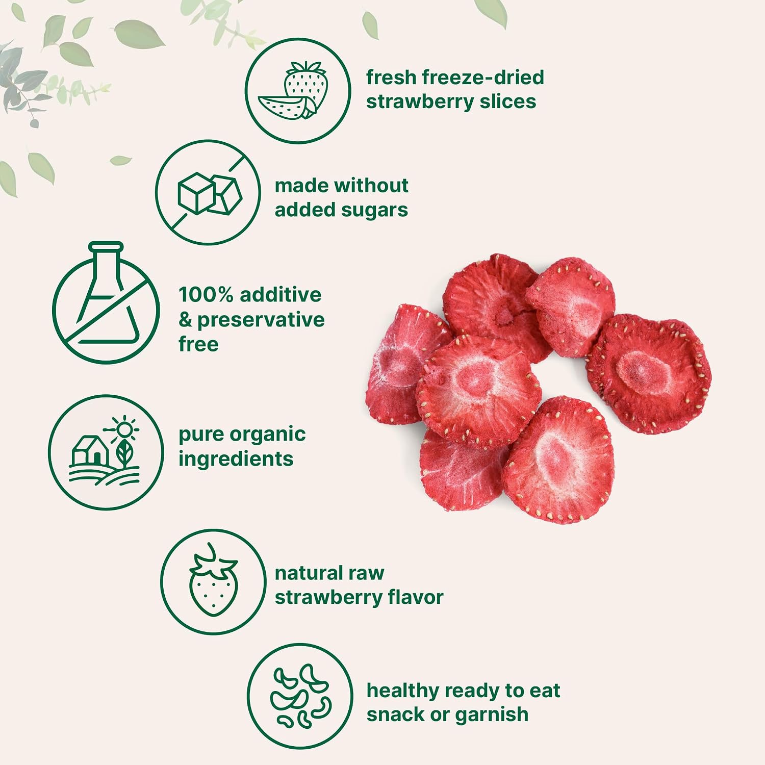 Micro Ingredients Organic Strawberries Sliced, 6.4oz | 100% Natural Fruit | Freeze Dried Strawberry Source | No Sugar & Additives | Healthy Snack & Topping for Beverages or Recipes | Non-GMO, Vegan - PrimeBioHealth - canada supplements