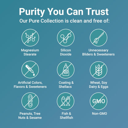 Micro Ingredients Pure Methylated B Complex, 240 Capsules | 11-in-1 Formula with Methylfolate, B12, Thiamin, Inositol, Choline, & Fat Soluble Vitamin C | Clean Ingredients Without Fillers | Non-GMO - PrimeBioHealth - canada supplements