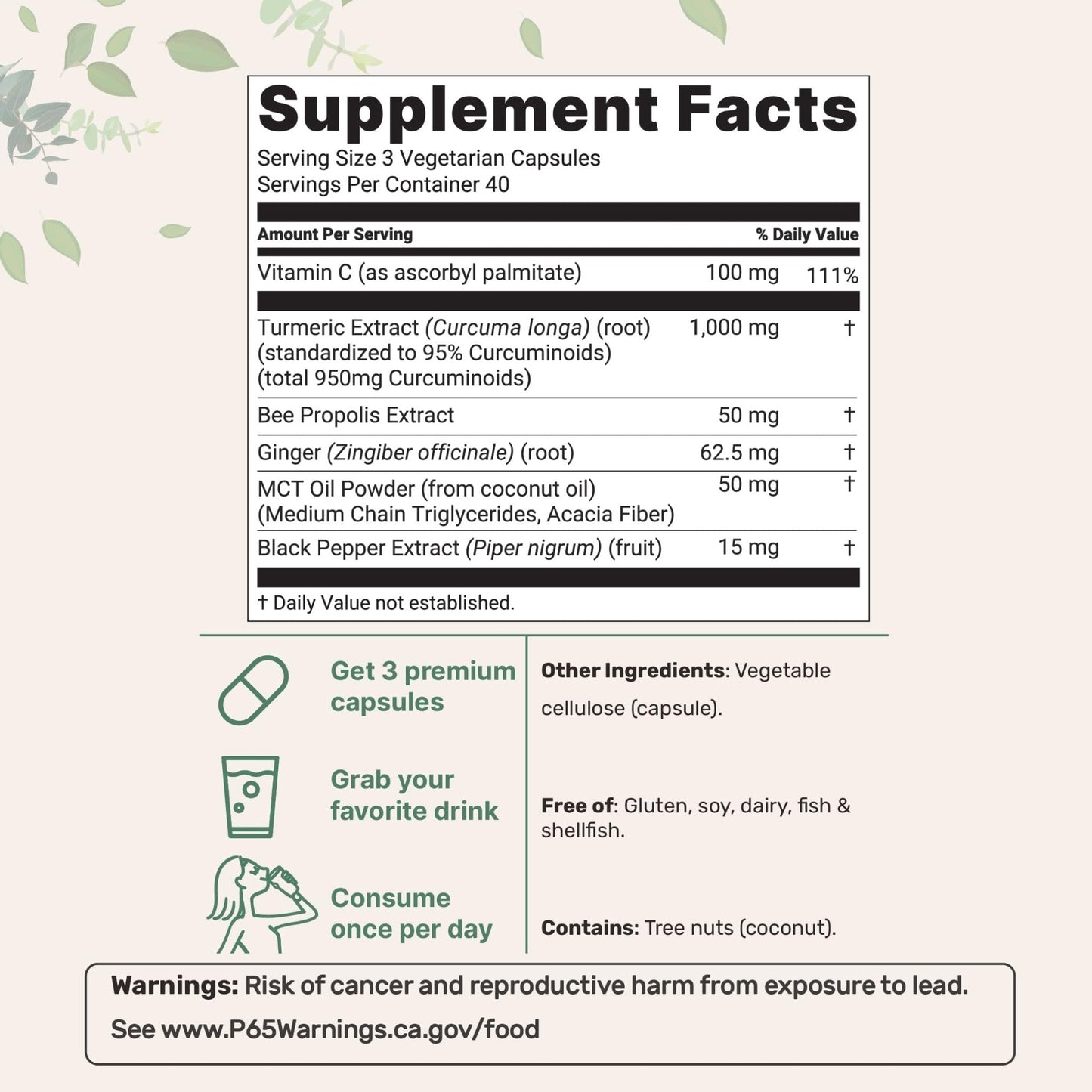Micro Ingredients Pure Turmeric Curcumin Supplement 1,000mg – 95% Curcuminoids with Black Pepper & Ginger – High Absorption for Joint & Antioxidant Support* – Filler Free, 120 Veggie Capsules - PrimeBioHealth - canada supplements
