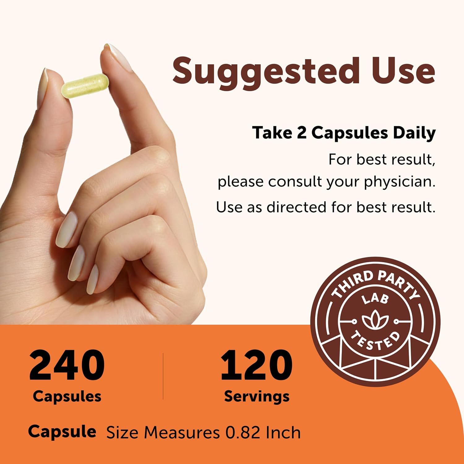 Micro Ingredients Quercetin with Vitamin C & Zinc, 240 Capsules | 6‑in‑1 Formula with Quercetin, Vitamin C & 4 Zinc Forms (Picolinate, Citrate, Glycinate, Gluconate) | Non‑GMO - PrimeBioHealth - canada supplements