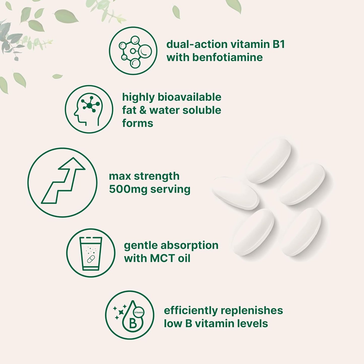 Micro Ingredients Vitamin B1 Thiamine 500mg with Benfotiamine & MCT Oil, 240 Softgels | Highly Bioavailable Thiamine Supplement for Energy & Nervous System Support* | Non-GMO, Soy Free - PrimeBioHealth - canada supplements