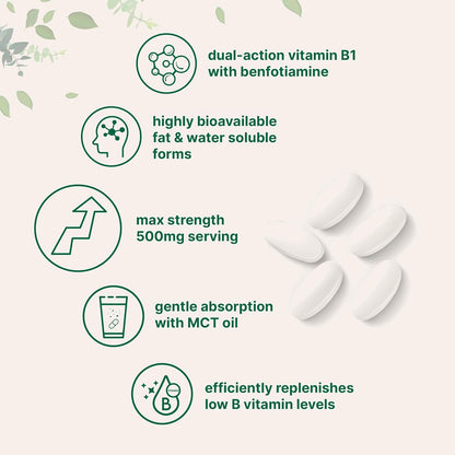 Micro Ingredients Vitamin B1 Thiamine 500mg with Benfotiamine & MCT Oil, 240 Softgels | Highly Bioavailable Thiamine Supplement for Energy & Nervous System Support* | Non-GMO, Soy Free - PrimeBioHealth - canada supplements