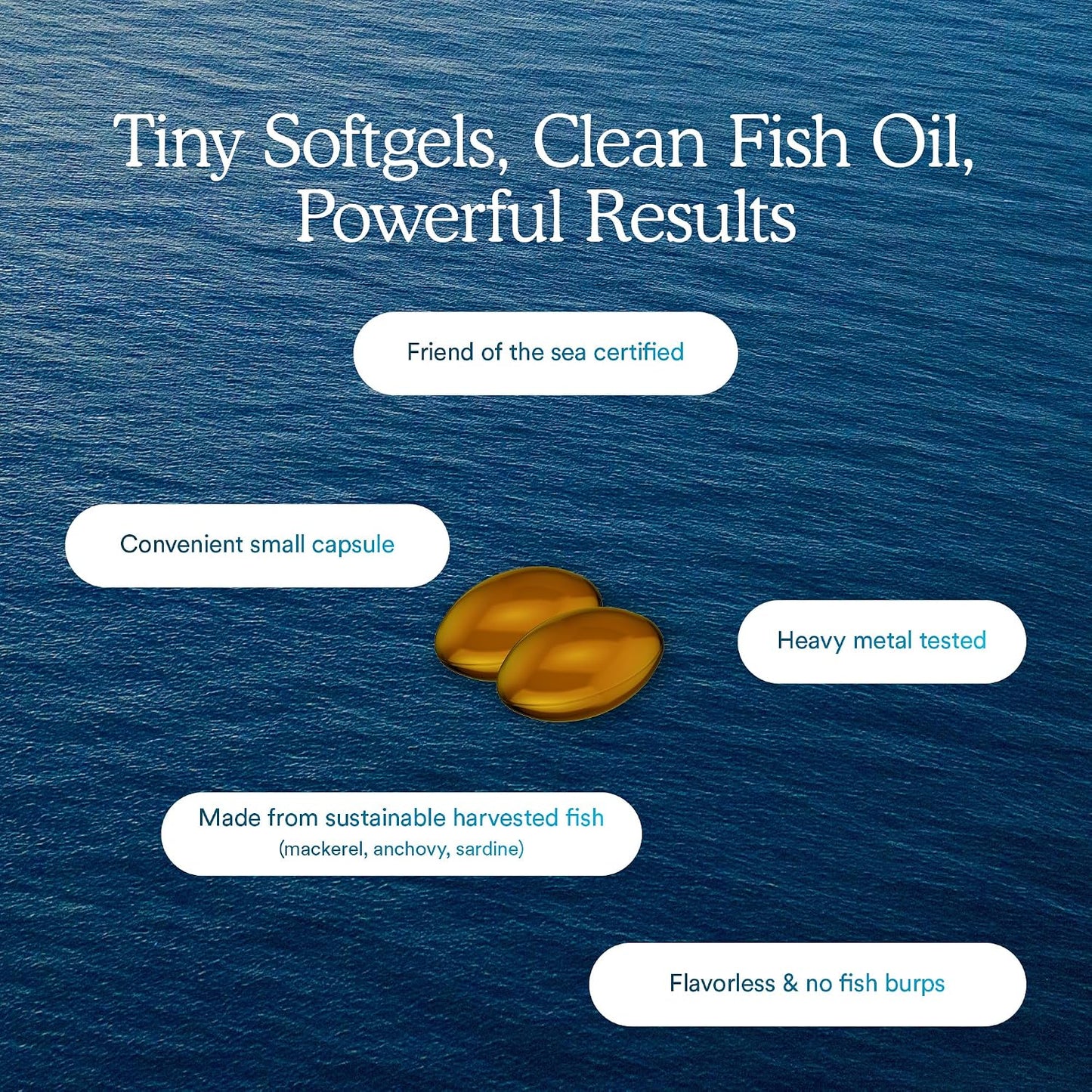 MitoQ Advanced EPA Omega-3 – High-Purity 800mg EPA Fish Oil Supplement | with Vitamin K2, D3, E | Cardiovascular, Brain, Cellular Support | No Fishy Aftertaste | 60 Softgels - PrimeBioHealth - canada supplements
