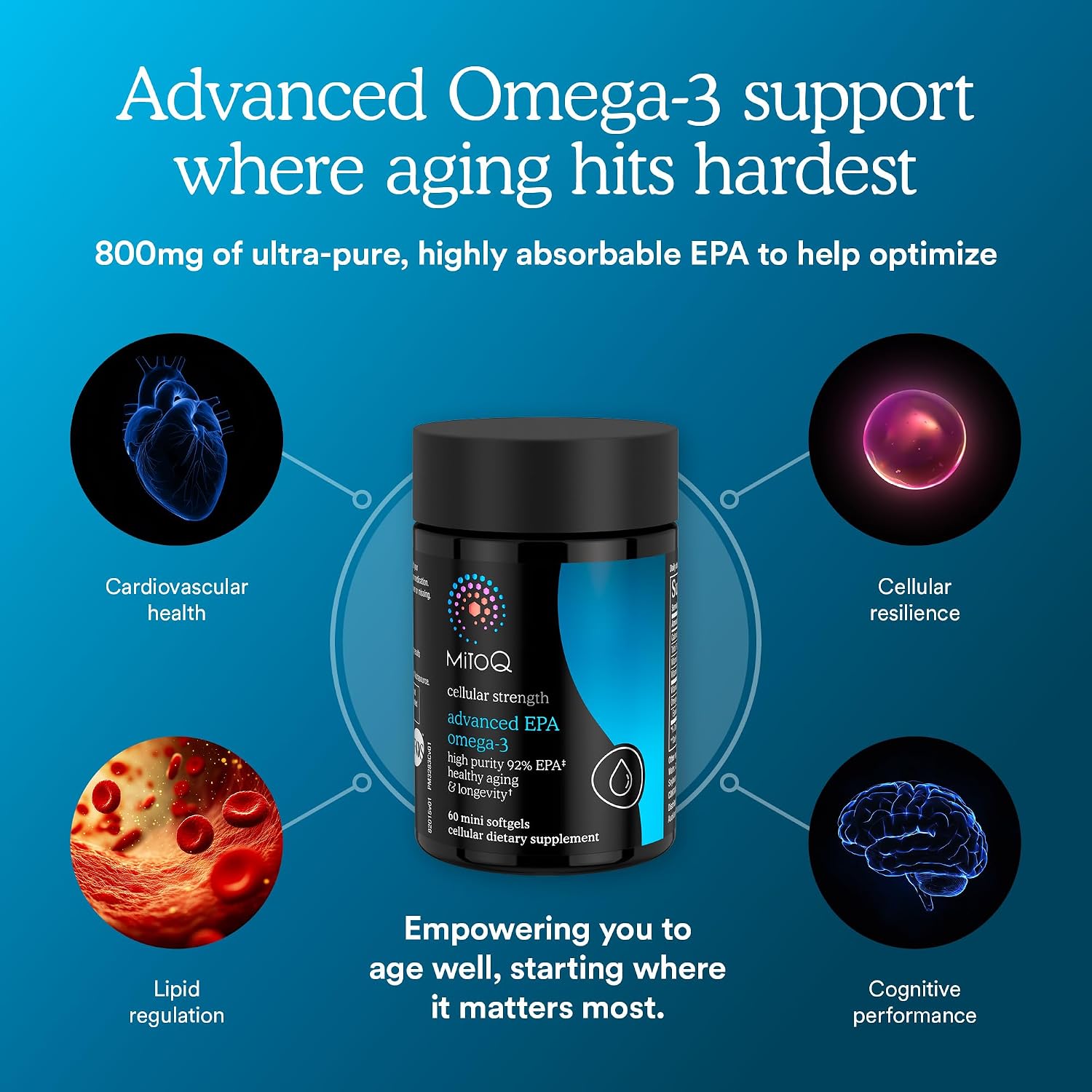 MitoQ Advanced EPA Omega-3 – High-Purity 800mg EPA Fish Oil Supplement | with Vitamin K2, D3, E | Cardiovascular, Brain, Cellular Support | No Fishy Aftertaste | 60 Softgels - PrimeBioHealth - canada supplements