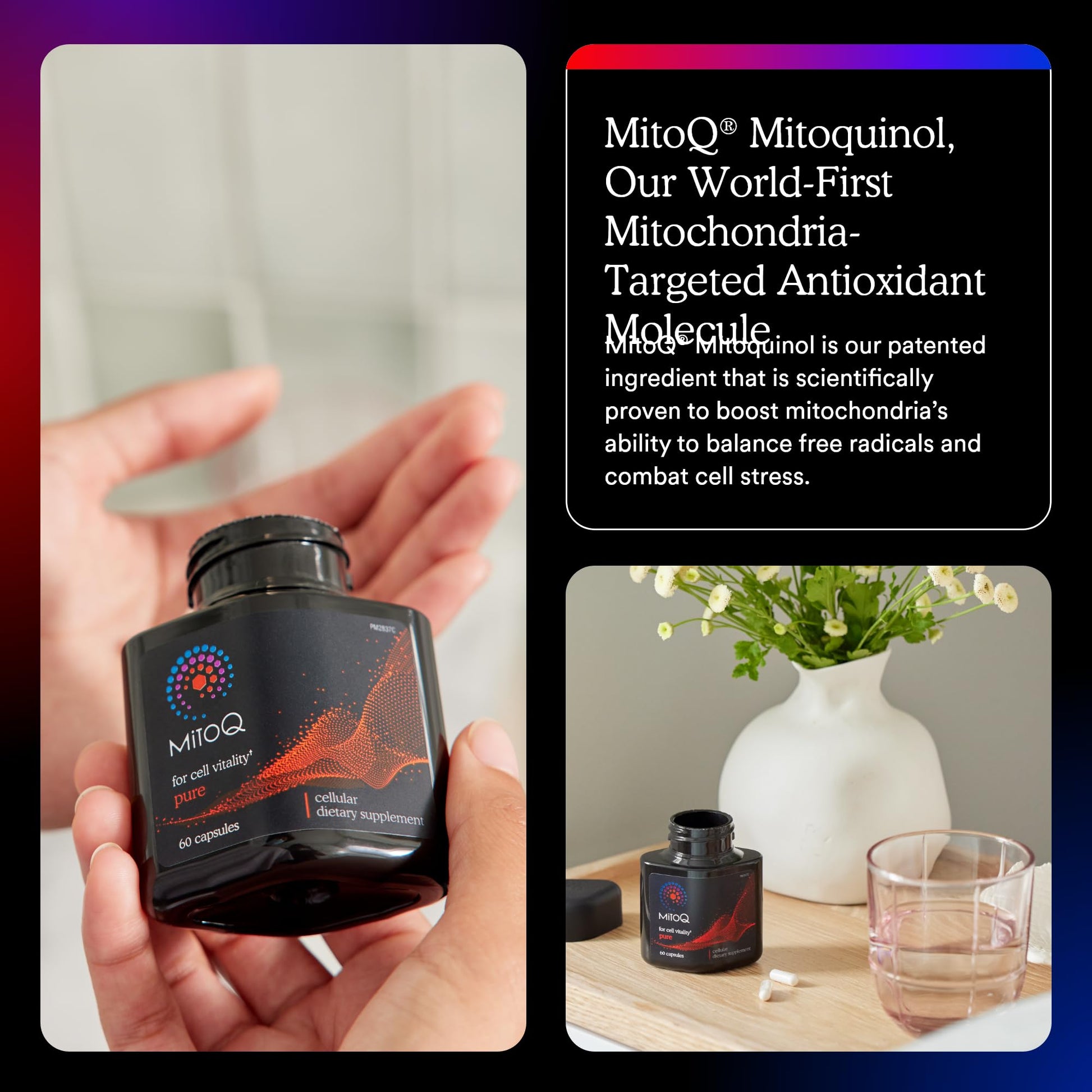 MitoQ Pure Advanced Mitochondria Supplement - Superior Bioavailability to CoQ10 - Patented Vitality Supplement for Sustained Energy, Heart Health, Metabolic Support, and Healthy Aging (60 Capsules) - PrimeBioHealth - canada supplements