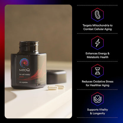 MitoQ Ultimate Antioxidant Bundle: Mitochondria-Targeted and Heart Health Antioxidant Supplements | Supports Cellular Longevity, Cardiovascular Health, Energy, and Healthy Aging (2 x 60 Capsules) - PrimeBioHealth - canada supplements