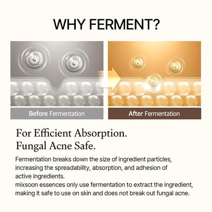 mixsoon Bean Essence Exfoliating, Snail Mucin Moisturizer for Hydrating, Fermented Bean Extract, Gentle Formula - PrimeBioHealth - canada supplements