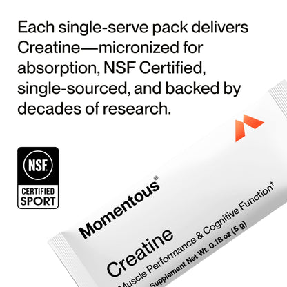 Momentous Creatine Monohydrate Powder - Creatine Powder - Supports Strength, Lean Muscle, & Recovery for Men & Women - NSF Certified for Sport - 5 g per Serving - 90 Servings - PrimeBioHealth - canada supplements