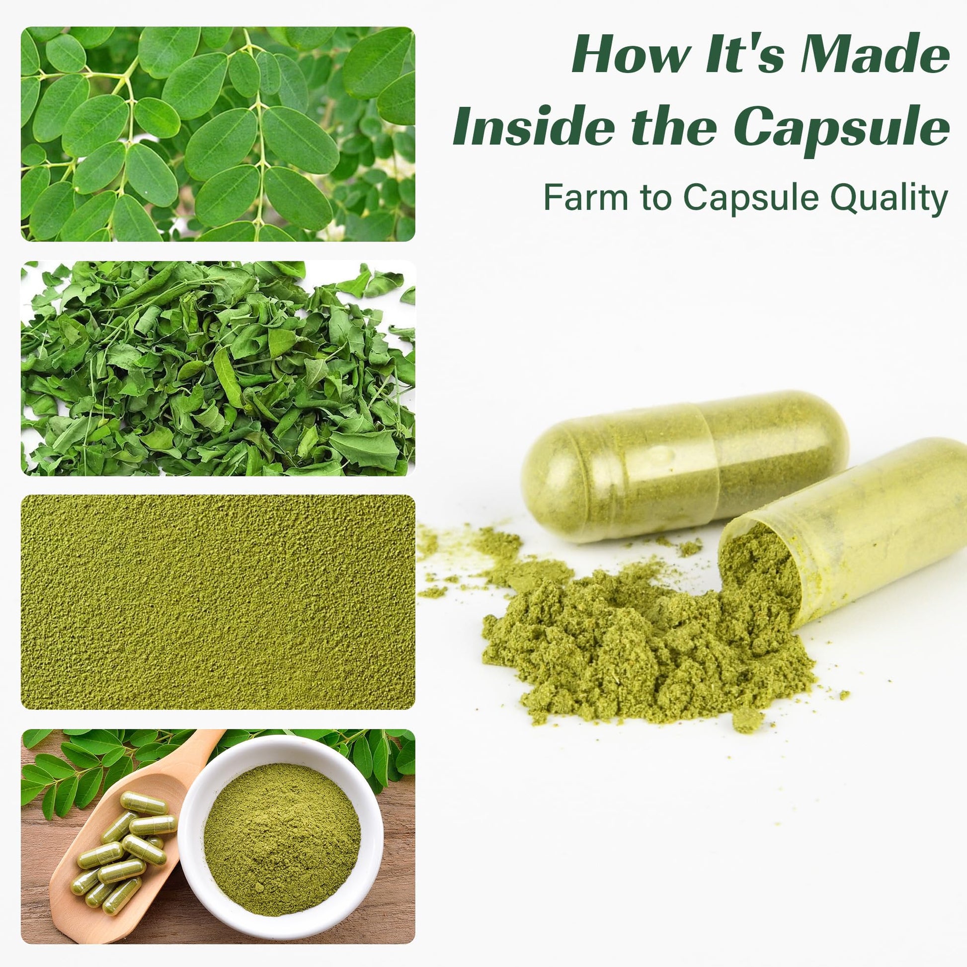 Moringa Capsules, Moringa Pure Capsules For Energy, Immune Support, Gut Health & Powerful Green Superfood, Rich In Antioxidants, Essential Vitamins & Amino Acids - PrimeBioHealth - canada supplements