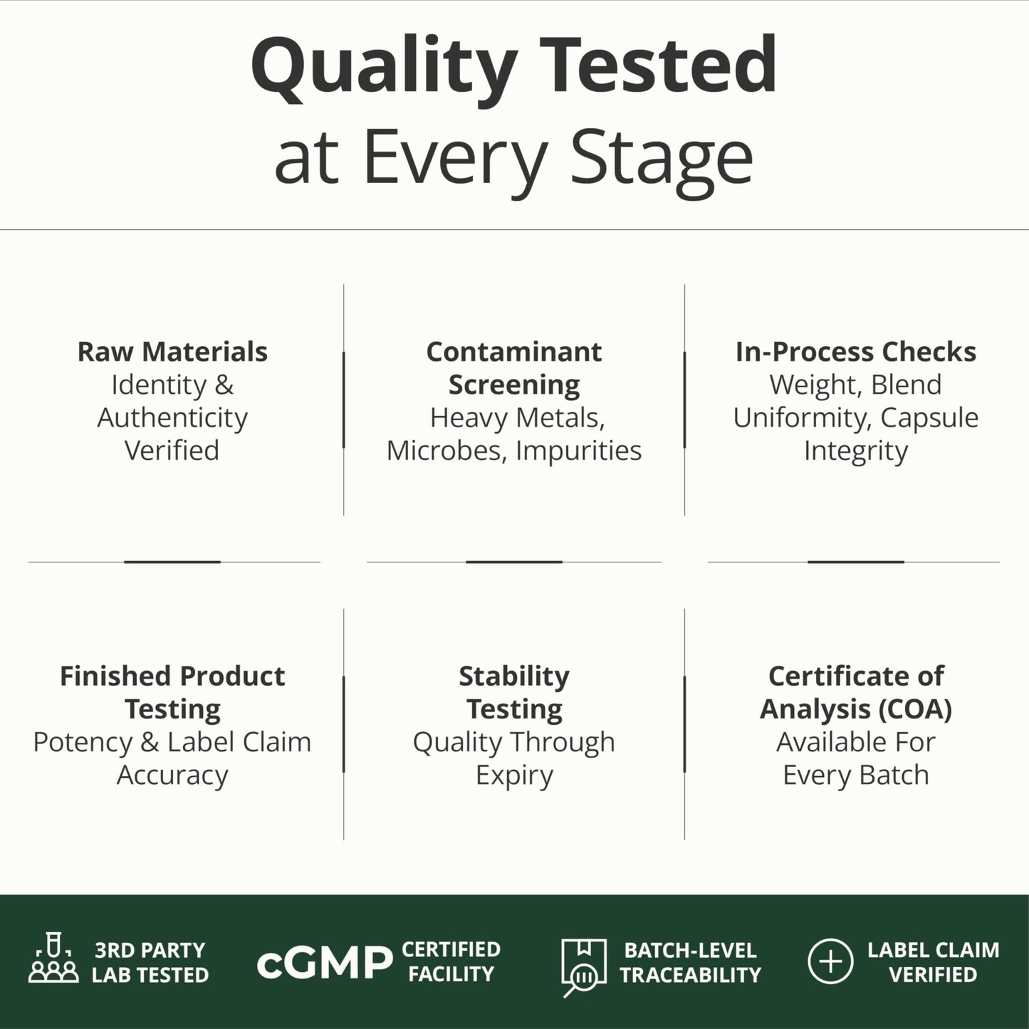 Multivitamin for Men with Methylated Vitamins and Chelated Minerals for Energy, Focus and Immune Health – Premium Daily Mens - PrimeBioHealth - canada supplements