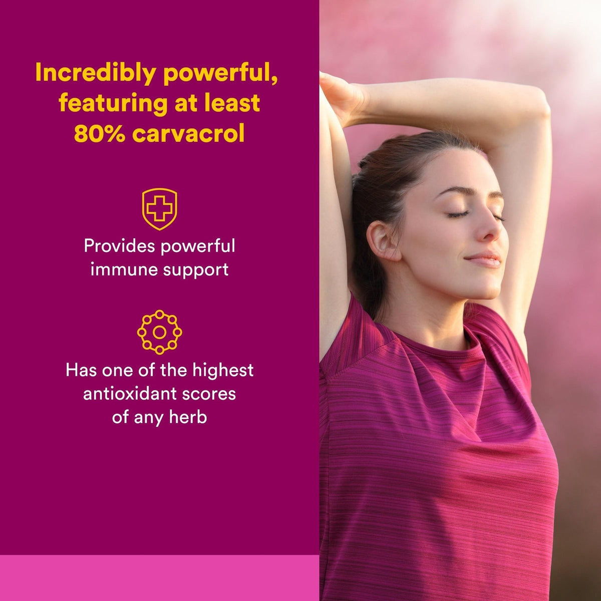 Natural Factors Oil of Oregano - Liquid Antioxidant Support Supplement for Immune Support - Easy Swallow Health Supplement - PrimeBioHealth - canada supplements