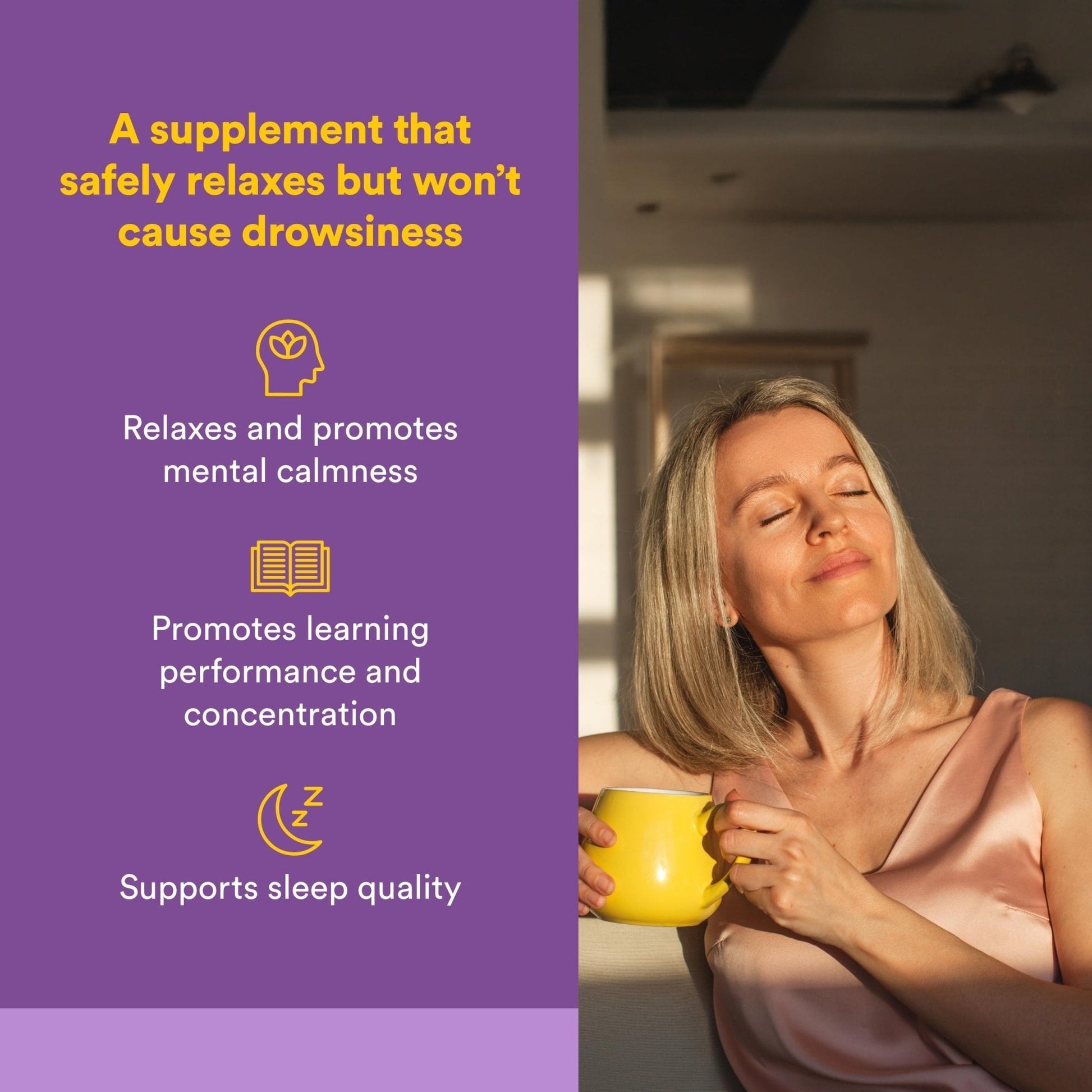 Natural Factors Suntheanine L-Theanine 100 mg - Health Supplement for Calm Outlook - L-Theanine Supplement Supports Relaxing Sleep & Aids Against Drowsiness - PrimeBioHealth - canada supplements