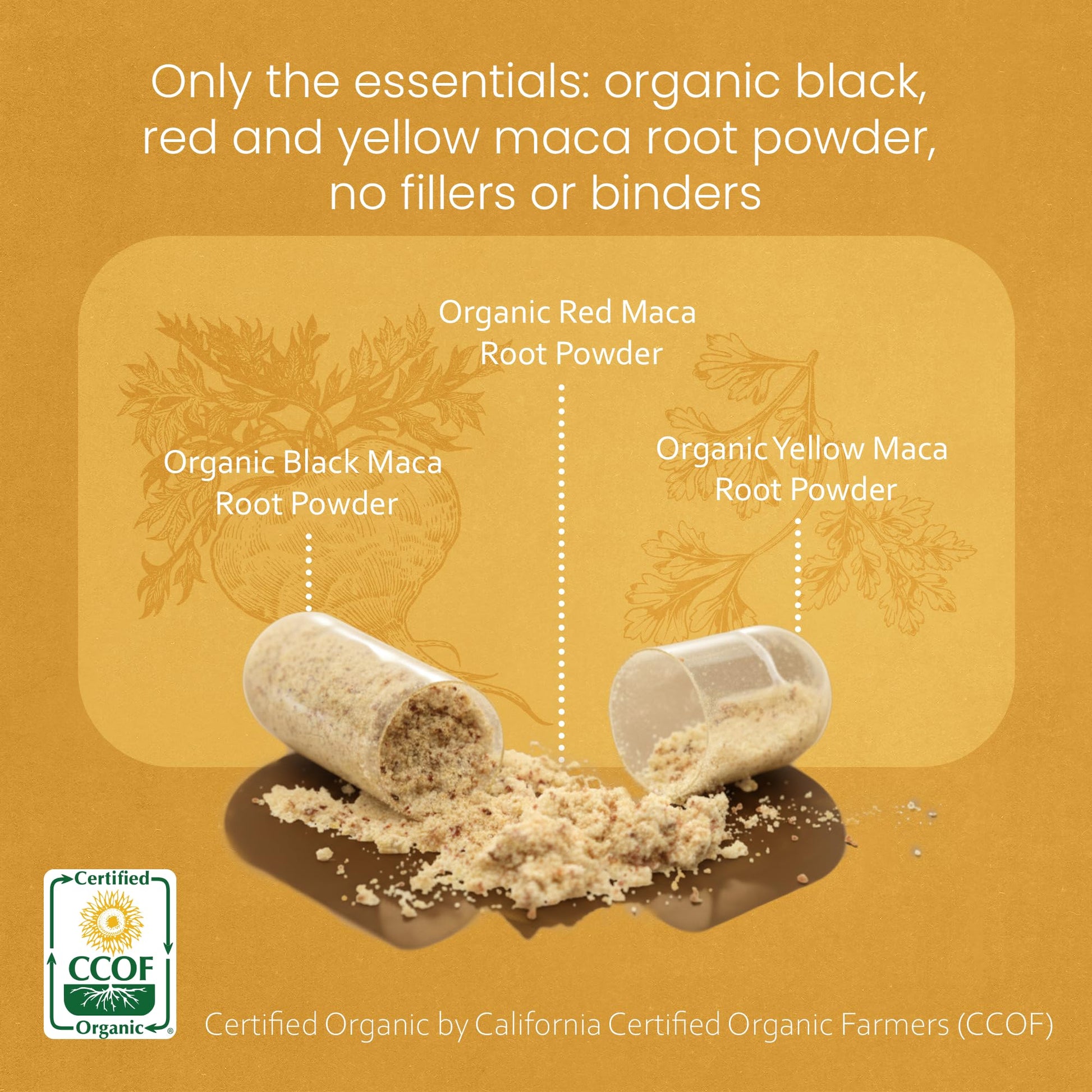 NaturaLife Labs Organic Maca Root – Black, Red & Yellow – 1900 mg per Serving – 150 Capsules – Gelatinized Peruvian Maca - PrimeBioHealth - canada supplements