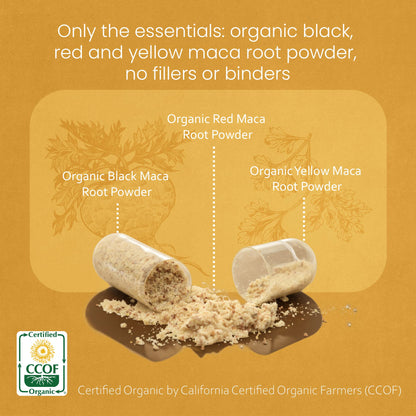 NaturaLife Labs Organic Maca Root – Black, Red & Yellow – 1900 mg per Serving – 150 Capsules – Gelatinized Peruvian Maca - PrimeBioHealth - canada supplements