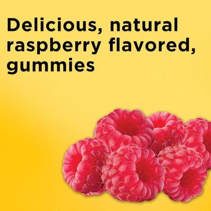 Nature Made Iron 18 mg per serving Gummies with Vitamin C, Iron Supplement for Red Blood Cell Support, 60 Gummies, 30 Day Supply - PrimeBioHealth - canada supplements