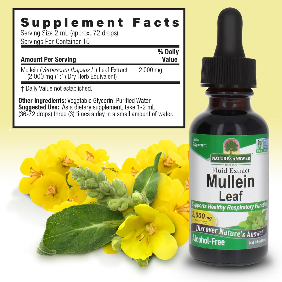 Nature's Answer Mullein Herb - Mullein Leaf Extract for Lungs - Alcohol Free, Non GMO, Made in USA - Supports Respiratory Function & Promotes Healthy Lungs - PrimeBioHealth - canada supplements