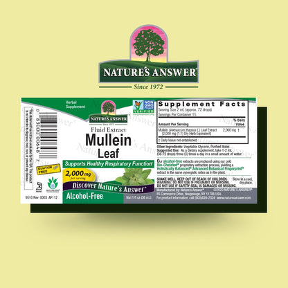 Nature's Answer Mullein Herb - Mullein Leaf Extract for Lungs - Alcohol Free, Non GMO, Made in USA - Supports Respiratory Function & Promotes Healthy Lungs - PrimeBioHealth - canada supplements