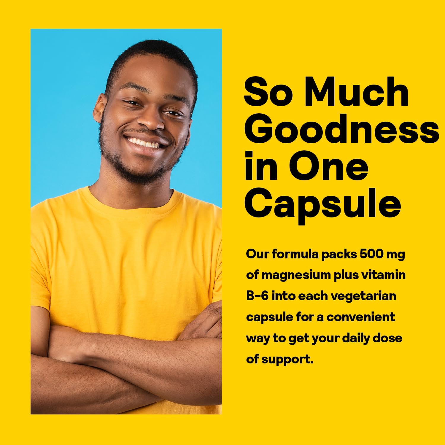 Nature’s Life Renewing Magnesium 500 mg - Magnesium Citrate, Magnesium Malate, Magnesium Oxide Plus Vitamin B-6 - Muscles and Nerves Support - Lab Verified - 275 Servings, 275 VegCaps - PrimeBioHealth - canada supplements