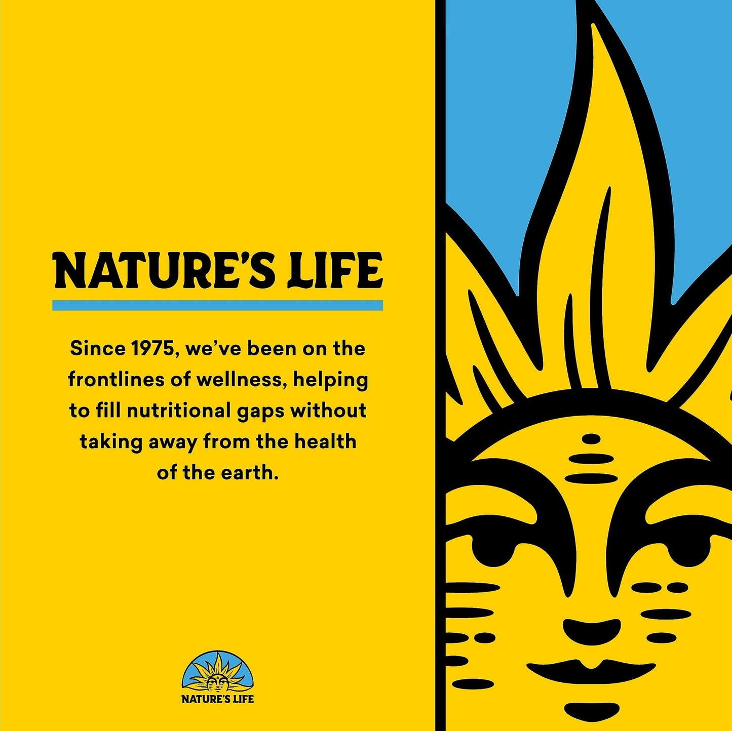 Nature’s Life Renewing Magnesium 500 mg - Magnesium Citrate, Magnesium Malate, Magnesium Oxide Plus Vitamin B-6 - Muscles and Nerves Support - Lab Verified - 275 Servings, 275 VegCaps - PrimeBioHealth - canada supplements