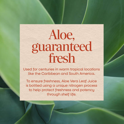 Nature’s Way Aloe Vera Leaf Juice, Flavorless Juice 99.5% Purified from Concentrate, Certified by The International Aloe Science Council, - PrimeBioHealth - canada supplements