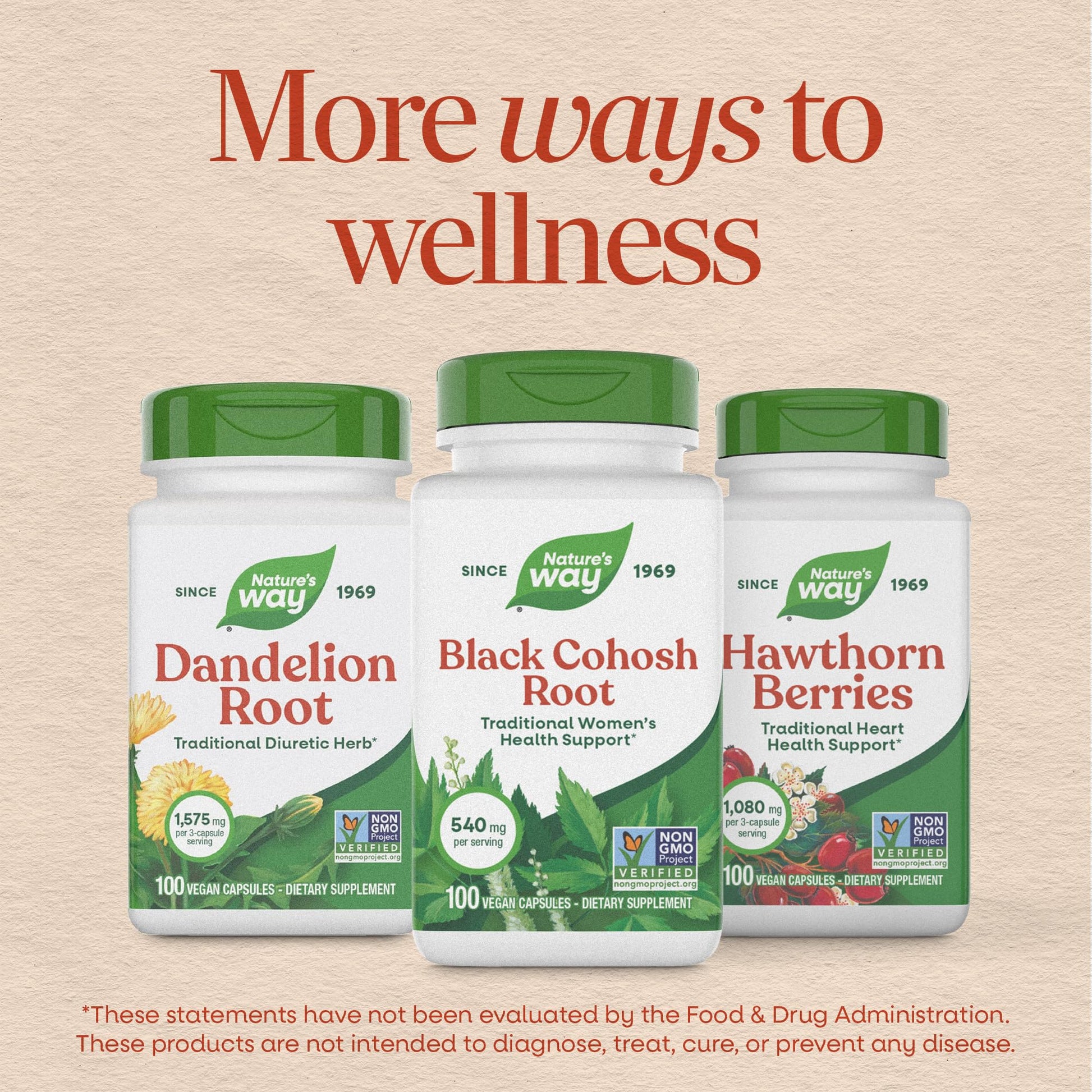 Nature’s Way Herbs Black Cohosh Root Capsules, Traditional Women’s Herbal Supplement*, Cimicifuga Racemosa Root, - PrimeBioHealth - canada supplements