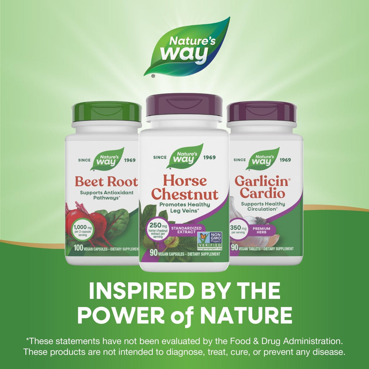 Nature's Way Horse Chestnut Extract, Premium Extract, Promotes Healthy Leg Veins*, 250 mg per Serving, Vegan - PrimeBioHealth - canada supplements