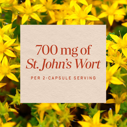 Nature’s Way St. John’s Wort Capsules, Herbal Supplement Promotes a Positive Outlook*, 700 mg per 2-capsule serving - PrimeBioHealth - canada supplements