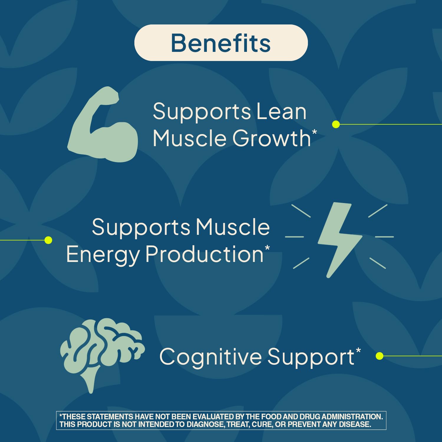 Nature's Wonder Micronized Creatine Monohydrate Powder 5g, Muscle Health, Muscle Energy Production, No Lactose, 5g of Micronized creatine Powder per Serving, 450G, 90 Servings - PrimeBioHealth - canada supplements