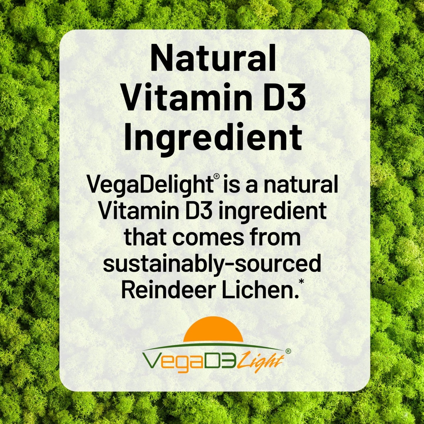 NatureWise Vegan Vitamin D3 + K2 - Natural D3 5000IU + Natural Vitamin K2 100mcg - Bone Support - High Absorption - PrimeBioHealth - canada supplements