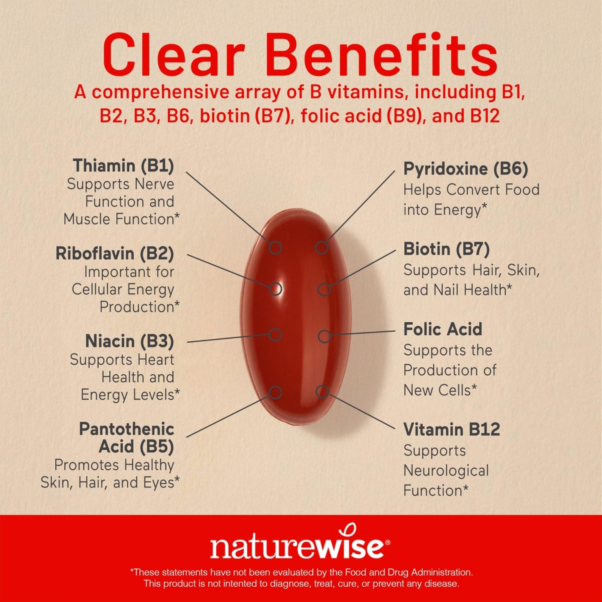 NatureWise Vitamin B Complex for Women and Men - with Folic Acid Biotin B1 B2 B3 B6 B12 - Support Cellular Energy & Mental Clarity - Gluten & Dairy Free - PrimeBioHealth - canada supplements