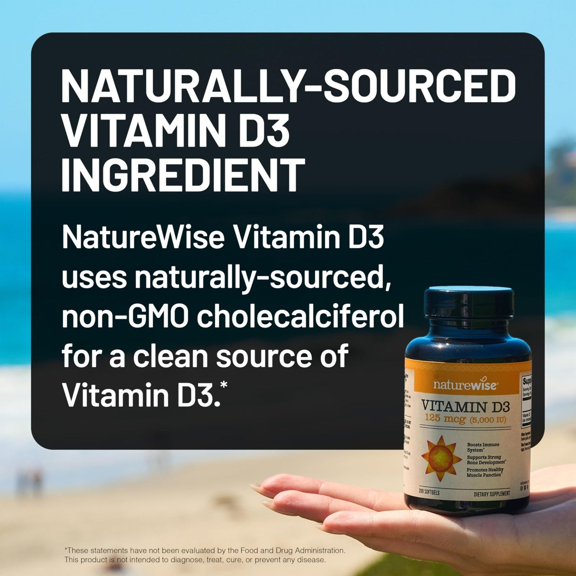 NatureWise Vitamin D3 5000iu (125 mcg) 1 Year Supply for Immune Support, Healthy Muscle Function, and Bone Health - Non-GMO - PrimeBioHealth - canada supplements