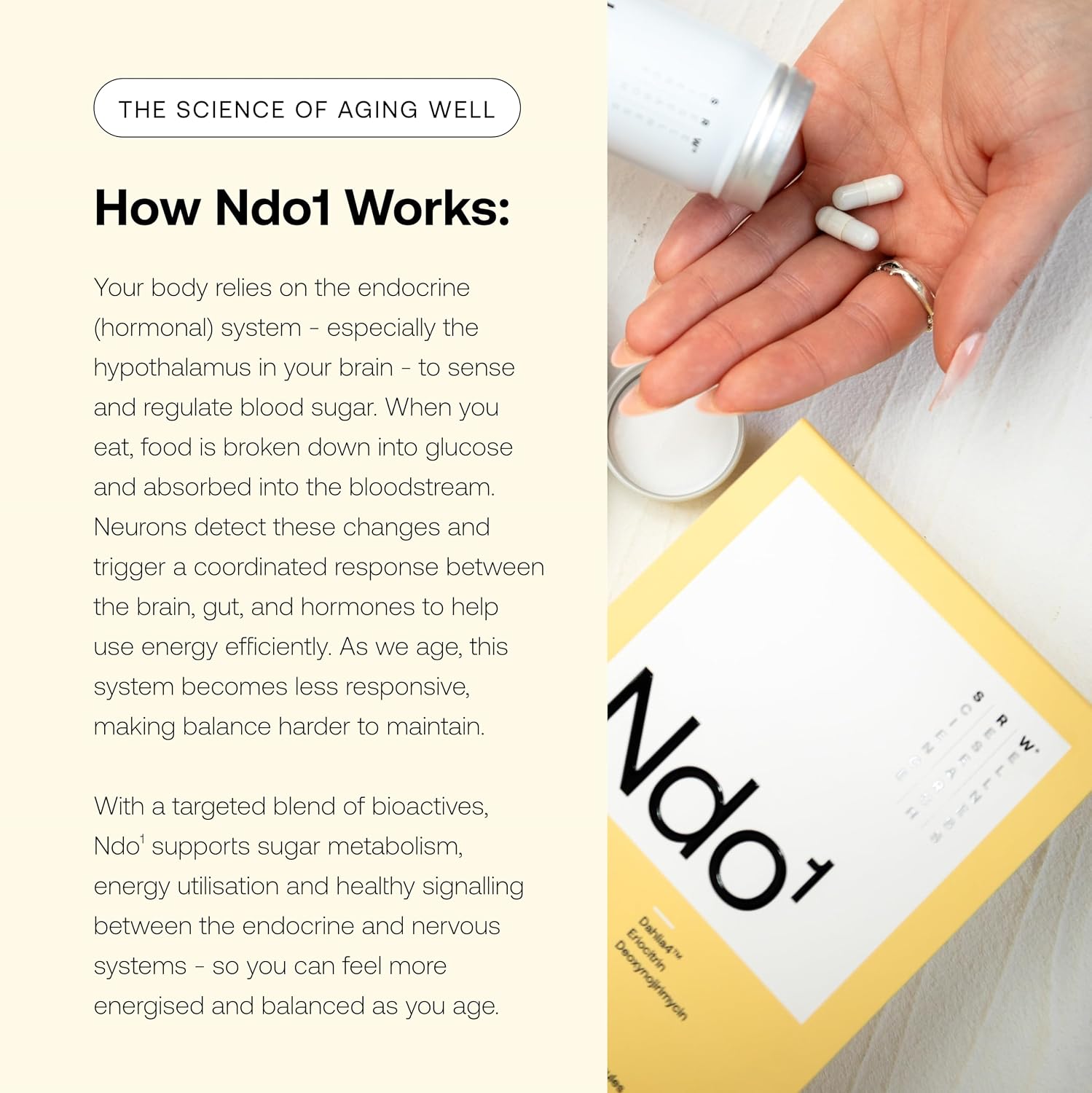 Ndo¹ Equilibrium | Blood Sugar Support Supplement | Glucose Metabolism, Hormone Balance & Healthy Aging | Breaks Down Carbohydrates Effectively | 60 Vege Capsules - PrimeBioHealth - canada supplements