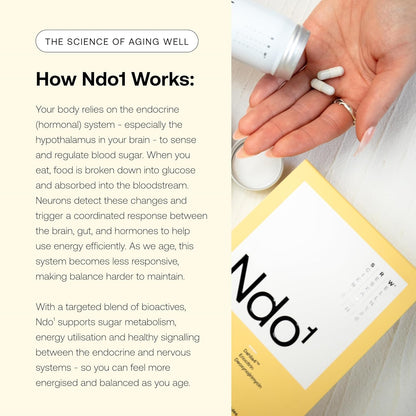 Ndo¹ Equilibrium | Blood Sugar Support Supplement | Glucose Metabolism, Hormone Balance & Healthy Aging | Breaks Down Carbohydrates Effectively | 60 Vege Capsules - PrimeBioHealth - canada supplements