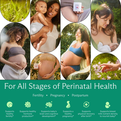 Needed. Multivitamin for Prenatal | Prenatal Multi Essentials Capsule - Pregnancy, Breastfeeding, Postpartum | Expertly-Formulated - PrimeBioHealth - canada supplements
