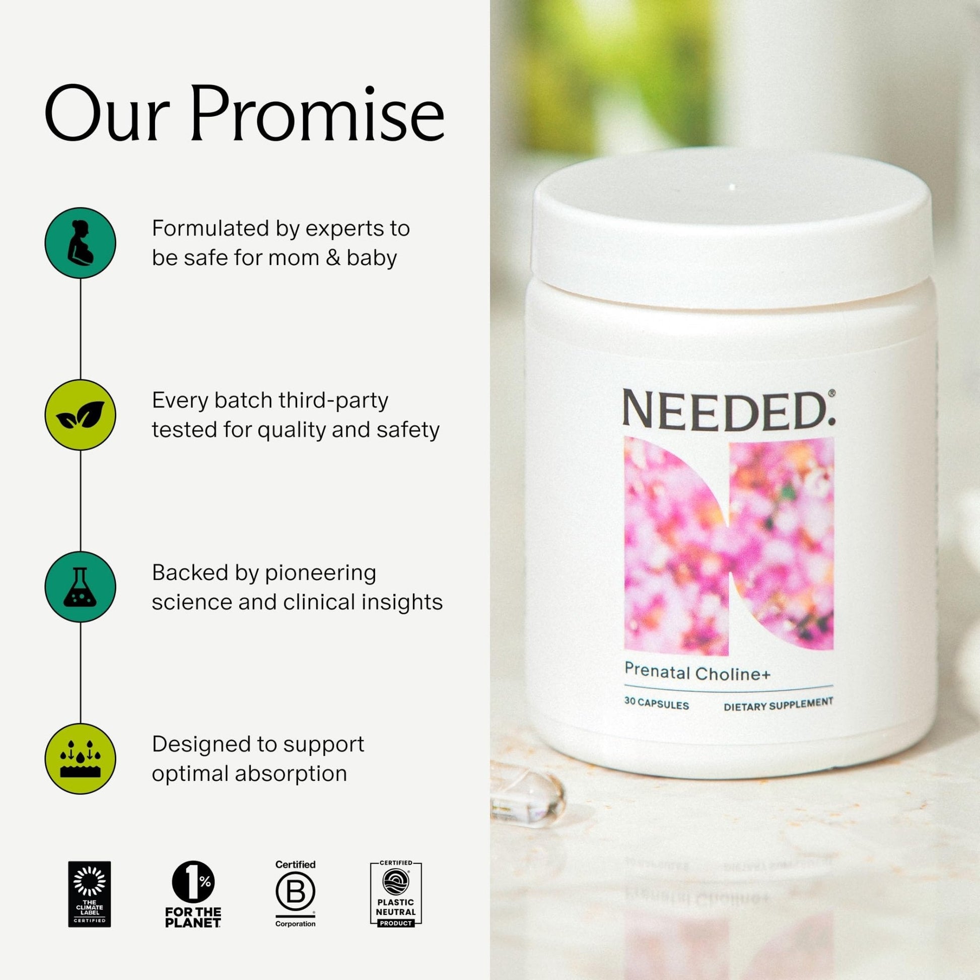 Needed. Prenatal Choline+ Liquid Capsules for Cognitive Development - Choline Supplements For Pregnancy - Aids Baby Brain Development & Supports Healthy Pregnancy - PrimeBioHealth - canada supplements