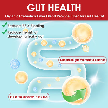 NEVISS Probiotic + Prebiotic Gummies for Adults & Kids 4+, Sugar Free Chewable 50 Billion CFUs w/Fiber, Vitamin B1 B2 D3 & Zinc, for Digestive & Gut Health - PrimeBioHealth - canada supplements