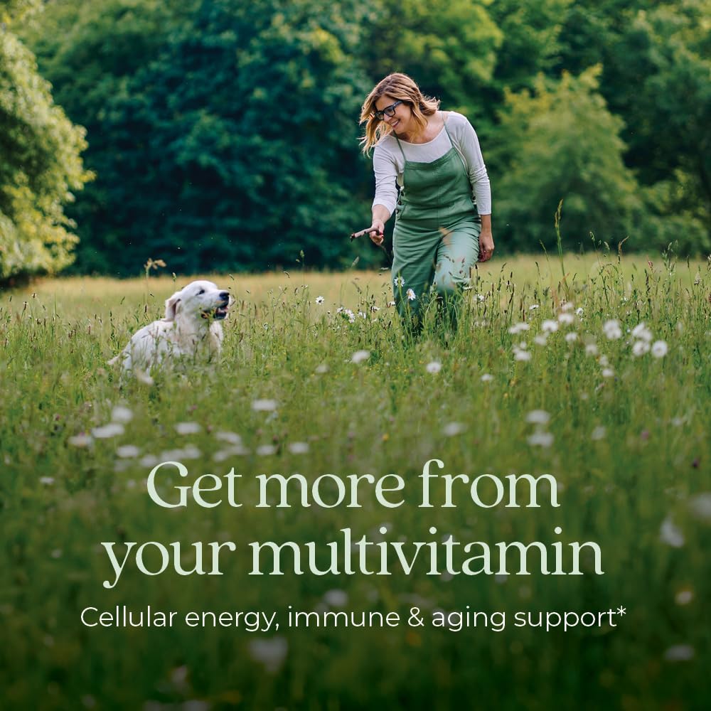 New Chapter Women’s Multivitamin 40+, extra B6 & B12, Biotin for Hair Growth, D3, Vit C, Zinc for Immune & Stress Support, Gentle on an Empty Stomach - PrimeBioHealth - canada supplements