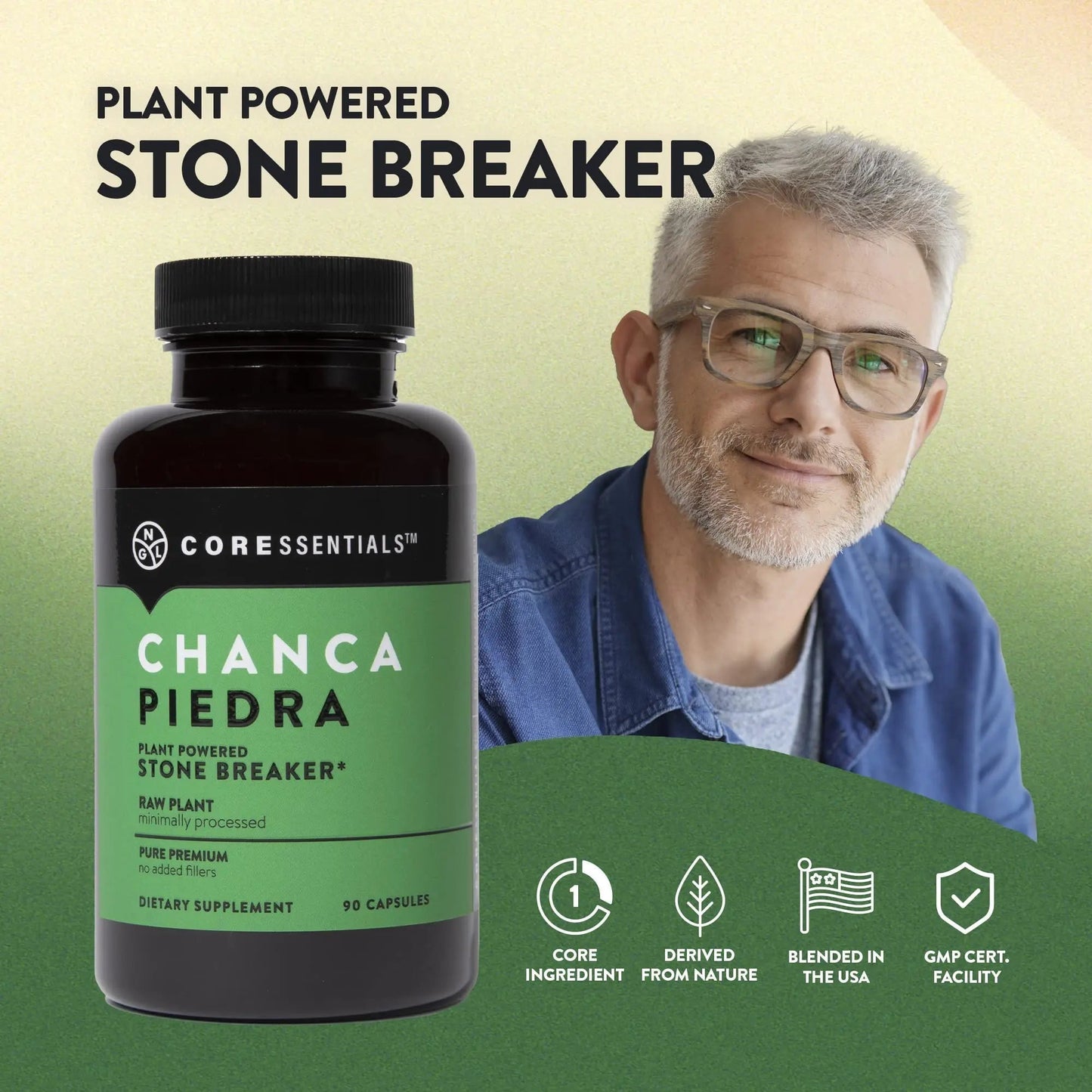 NGL Chanca Piedra Pure Stone Breaker 1,300mg - Kidney, Renal, Gallbladder Support Phyllanthus niruri - All Natural Herbal Detox Urinary Tract, Removes Impurities - 90 Capsules - PrimeBioHealth - canada supplements