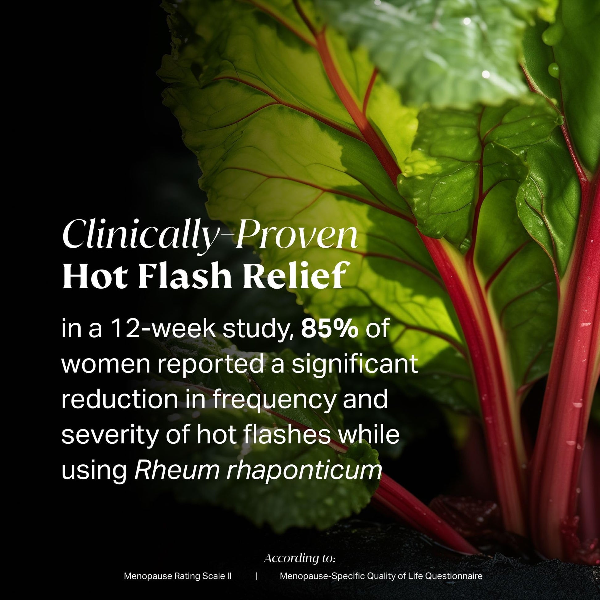 NOVAMD Clinically Proven Menopause Supplement for Weight Management, Hot Flashes, Night Sweats and Low Energy - PrimeBioHealth - canada supplements