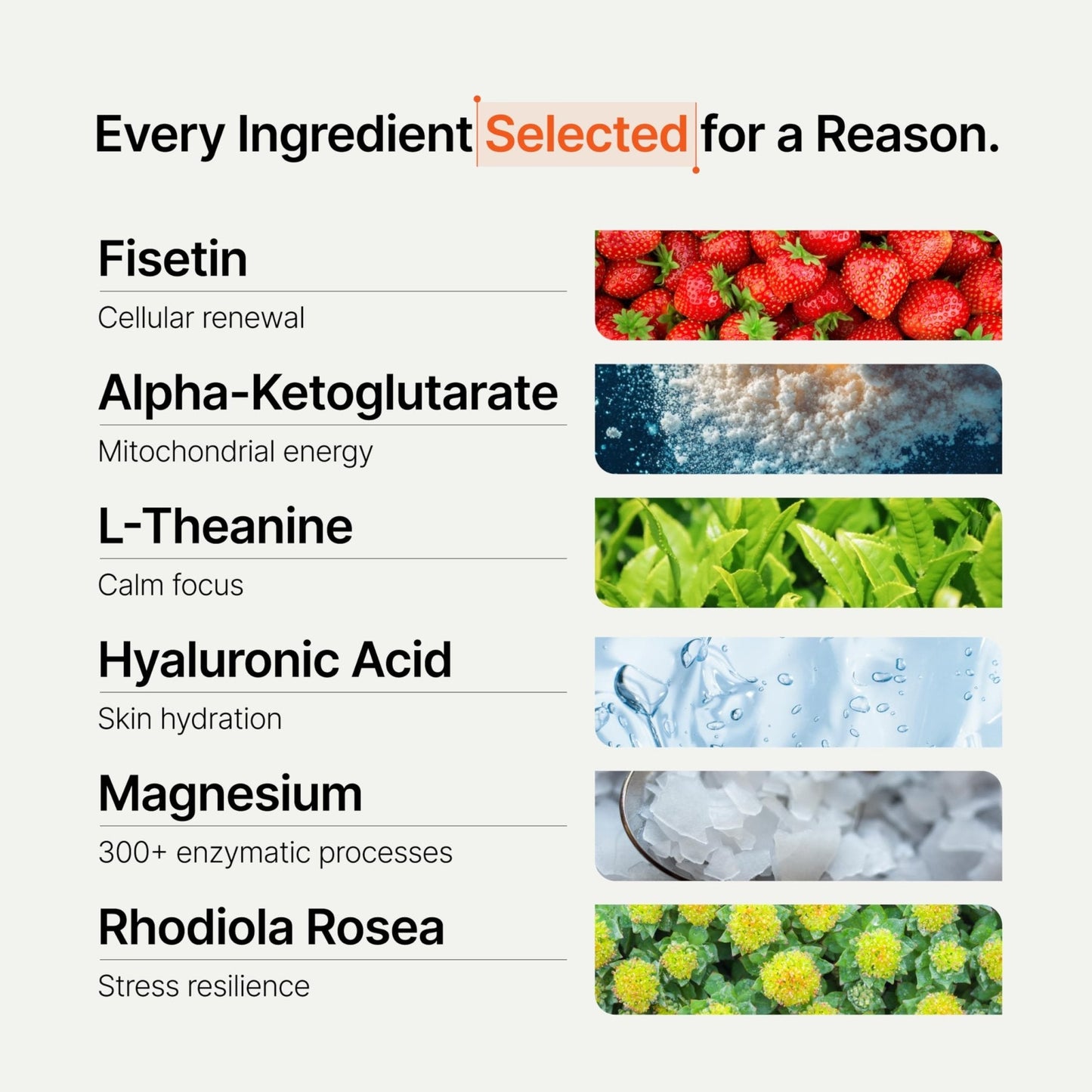 Novos Core - Clinically Studied Daily Longevity Supplement | 12 Active Ingredients for Healthy Aging, Energy, Cognition & Skin Health | Human Clinical Trial Backed | Orange Flavored | 30 Servings - PrimeBioHealth - canada supplements