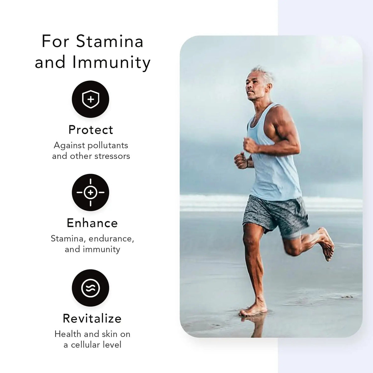 Nugevity AS 10® Life – Stress, Immune Support and Anti Aging Supplement - Multivitamin and Antioxidants Tablet, Resveratrol, Alpha Lipoic Acid - PrimeBioHealth - canada supplements