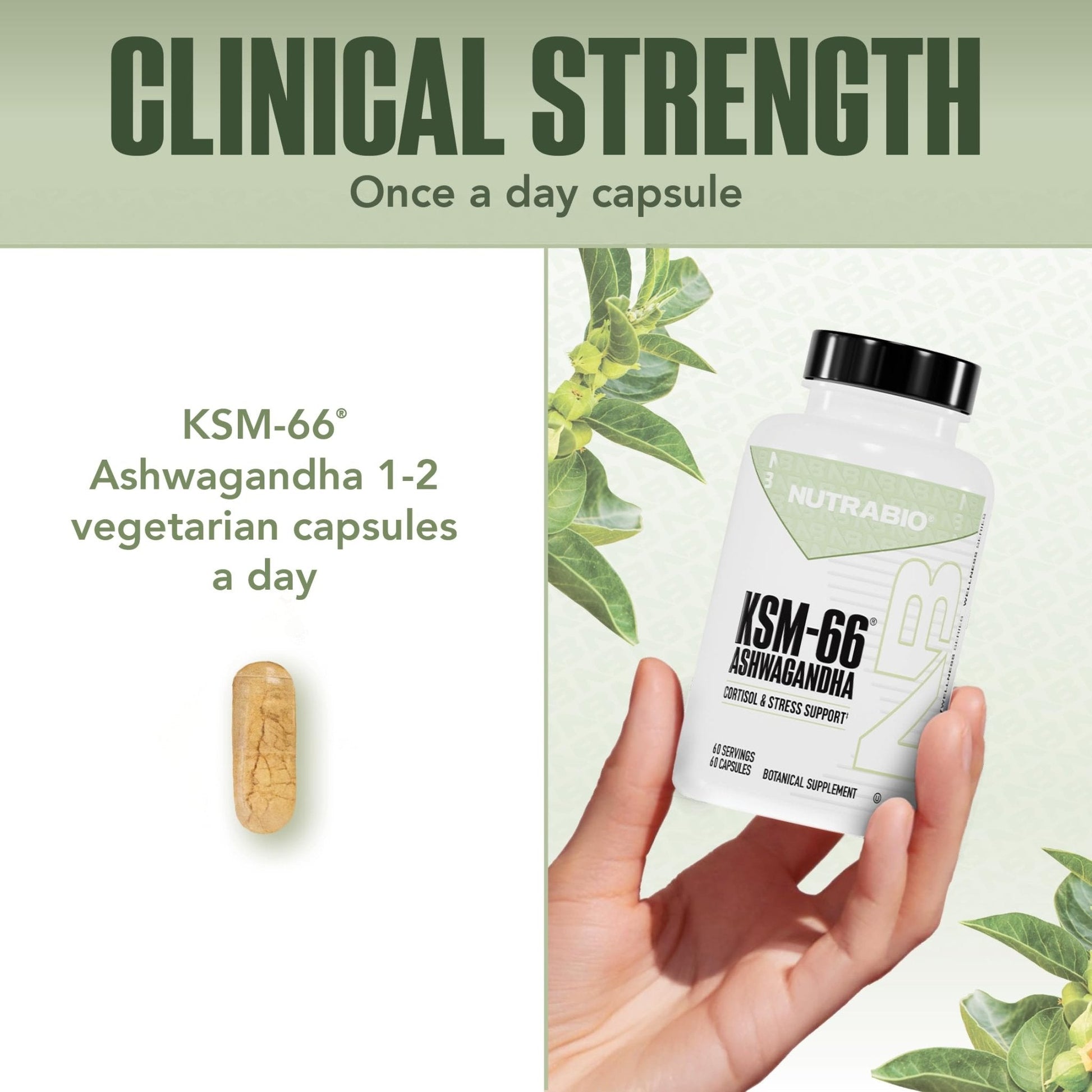 NutraBio Ashwagandha KSM-66 | Ashwagandha Herbal Supplement for Stress, Mood, & Performance | 600 MG of Clinically Studied KSM66 60 Capsules - PrimeBioHealth - canada supplements