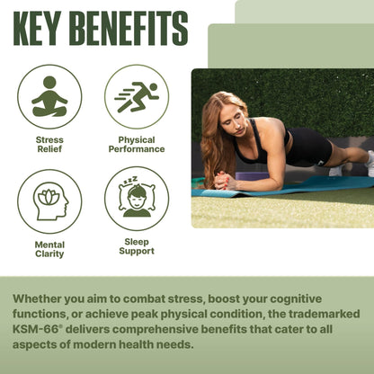 NutraBio Ashwagandha KSM-66 | Ashwagandha Herbal Supplement for Stress, Mood, & Performance | 600 MG of Clinically Studied KSM66 60 Capsules - PrimeBioHealth - canada supplements