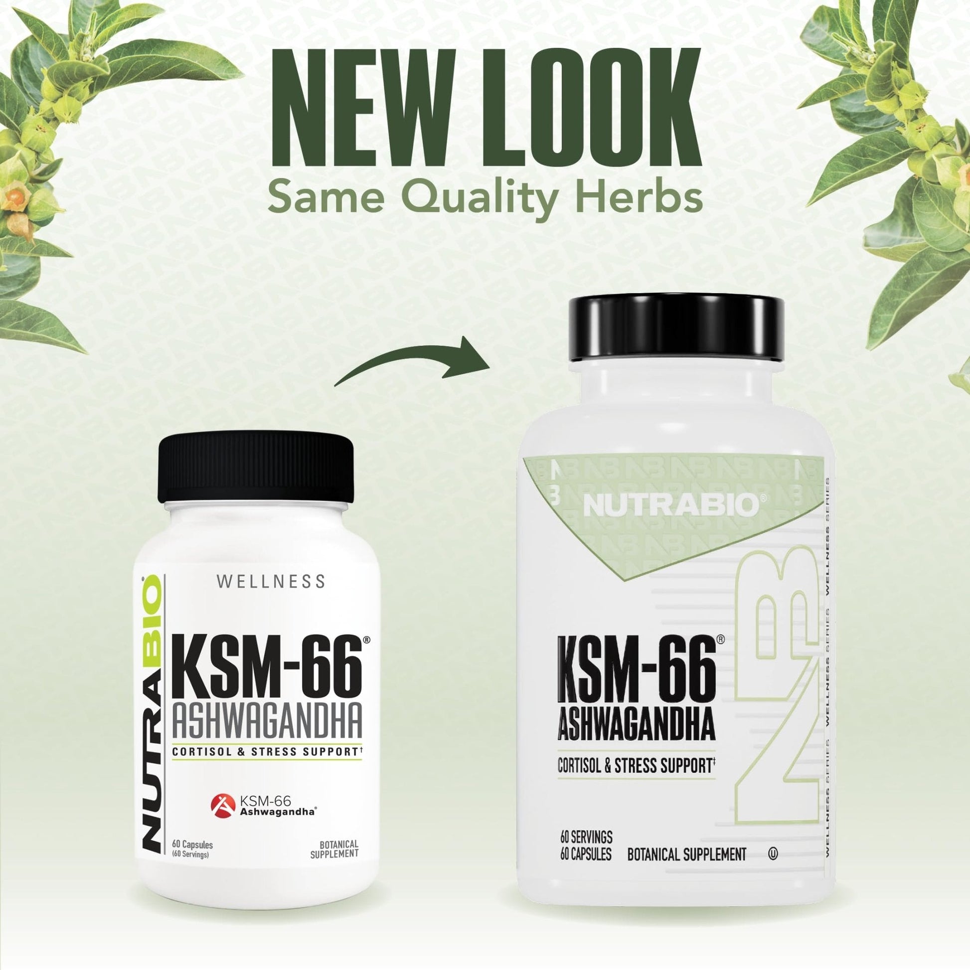 NutraBio Ashwagandha KSM-66 | Ashwagandha Herbal Supplement for Stress, Mood, & Performance | 600 MG of Clinically Studied KSM66 60 Capsules - PrimeBioHealth - canada supplements