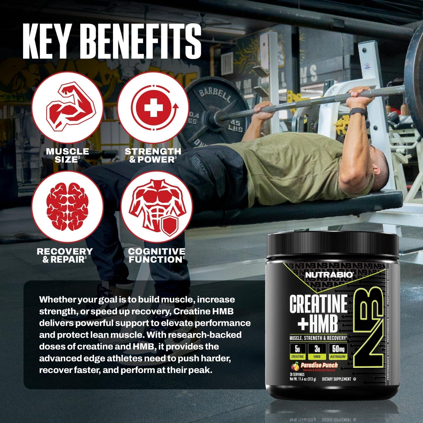 NutraBio Creatine + HMB- Creatine Monohydrate with HMB Powder for Muscle Growth, Increased Strength- 30 Servings (Unflavored) - PrimeBioHealth - canada supplements