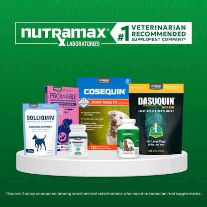 Nutramax Cobalequin B12 for Dogs, Oral Cobalamin Supplement with Folate, Vitamin B12 for Dogs Over 22 lbs., Supports GI Health, Chewable Tablets, 45 Count - PrimeBioHealth - canada supplements